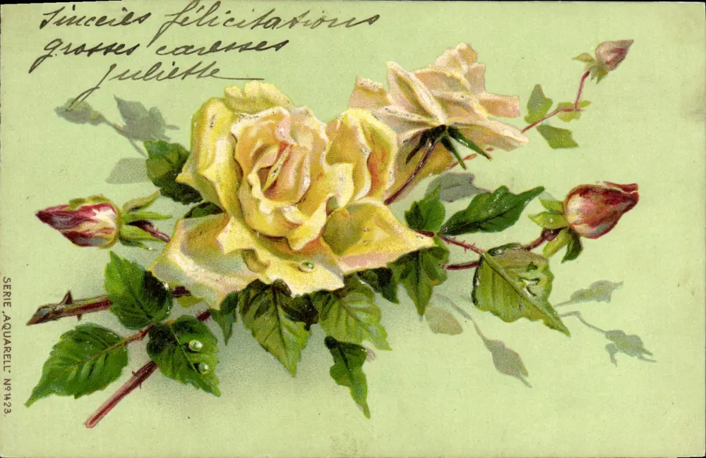 Gele rozen — antieke ansichtkaart uit de serie Aquarelle N°1423 — uitgever Aquarelle - Voorkant