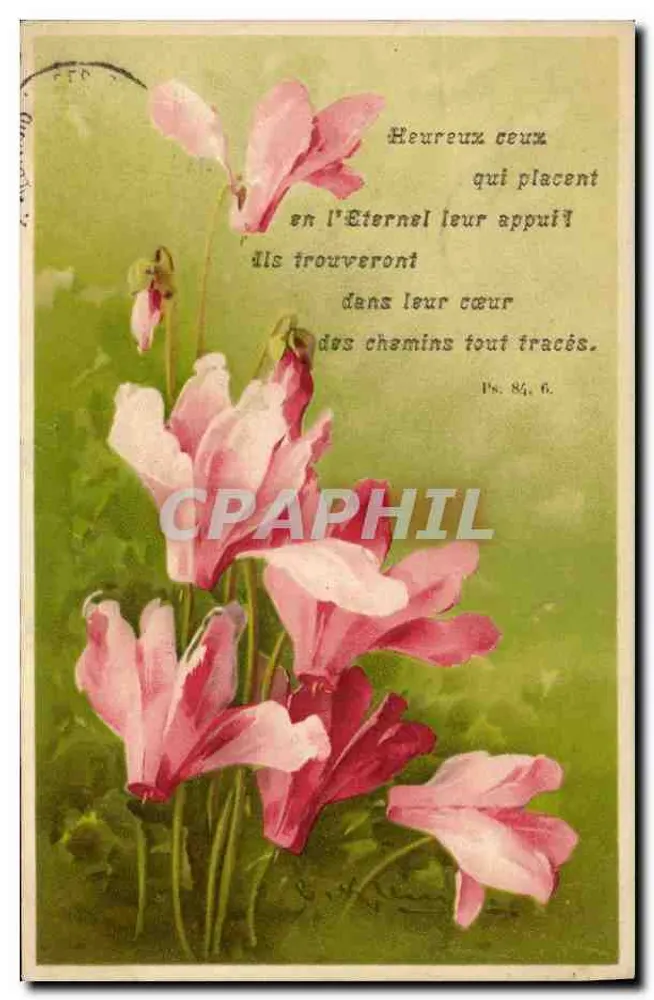 Flores rosas — versículo bíblico — editor desconhecido, número de série não visível - Frente