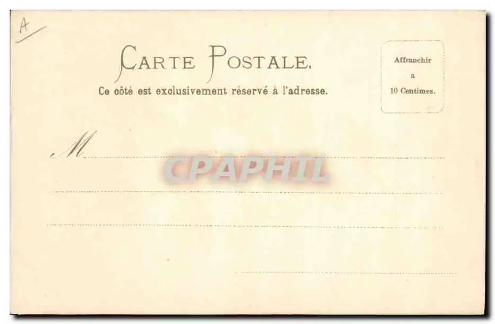 Fiori di Fleur — illustrazione botanica — C. F. Flasse - Verso