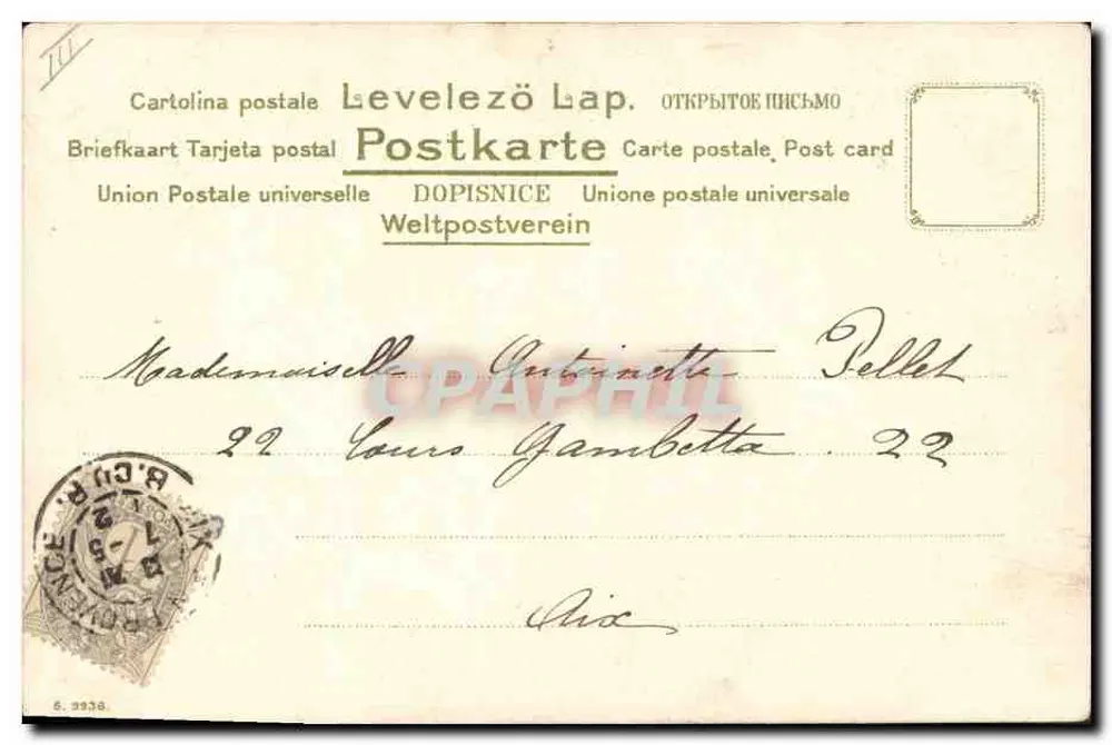 Bouquet di peonie — disegno a acquarello — C. V. Krause - Verso