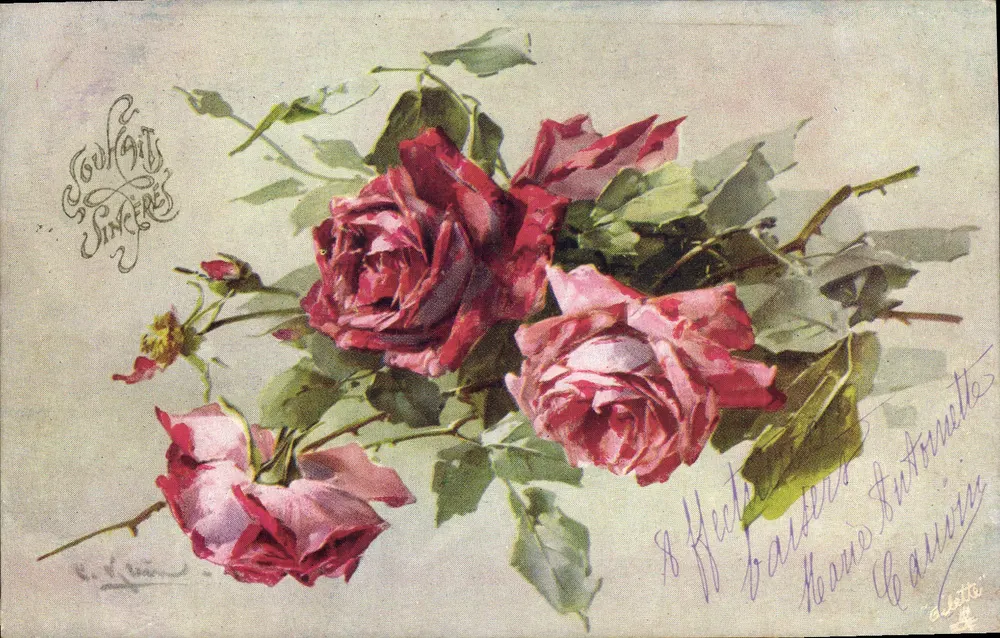Bouquet de rosas — Tuck's Post Card — editor Tuck & Sons - Frente