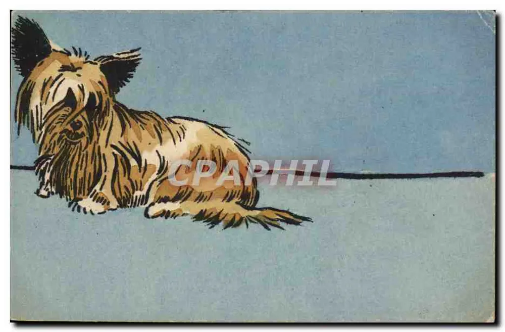 Chien terrier — illustration — éditeur non visible - Awers