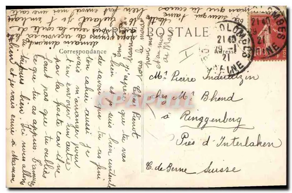 Hund der Rasse Collie — Asnières — P. F. (Verlag) - Rückseite