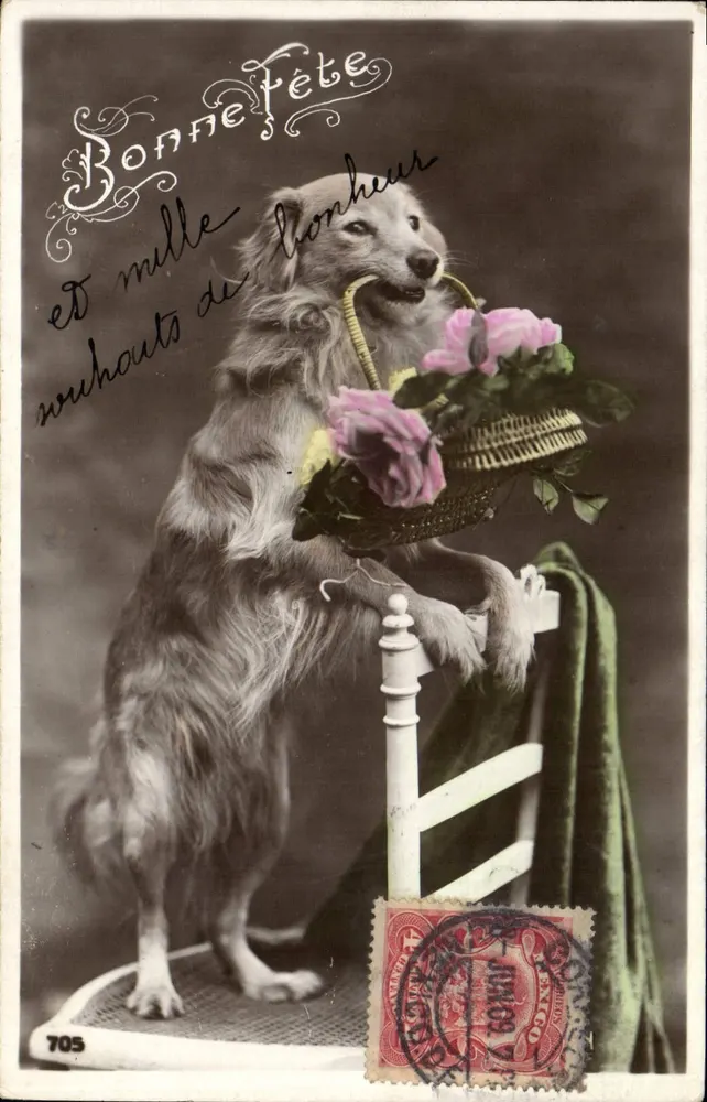 Perro con cesto de rosas — Feliz cumpleaños y mil felicidades — editor anónimo, n° 705 - Anverso
