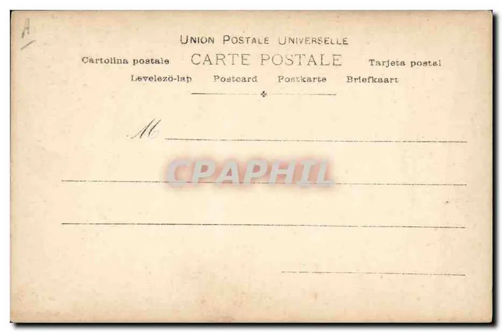 Chienne Pointer SNAP — Paul Boyer, Paryż, seria 18/9 - Rewers