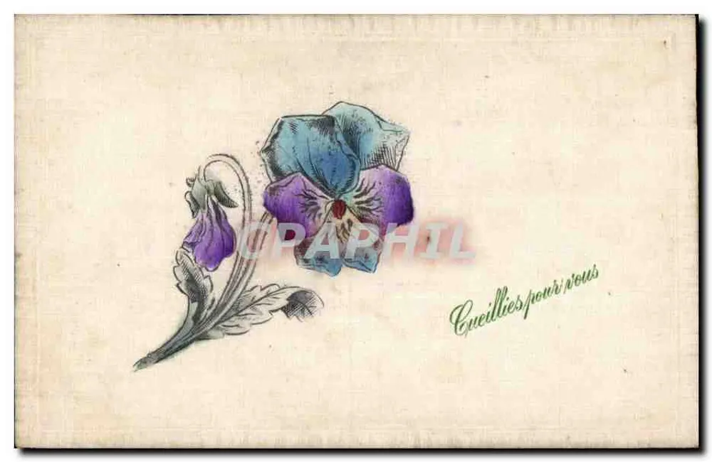 Poisson — Fleurs de pensée - Recto