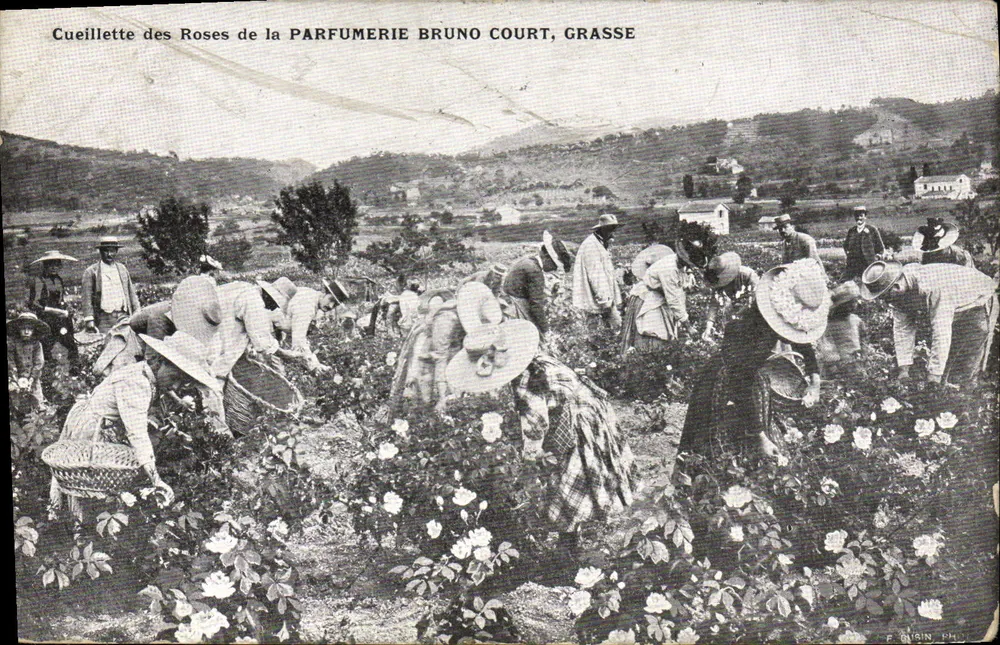 Rosenpflückung bei der Parfumerie Bruno Court, Grasse — Verlag F. GUSIN, PH. n° nicht sichtbar - Vorderseite