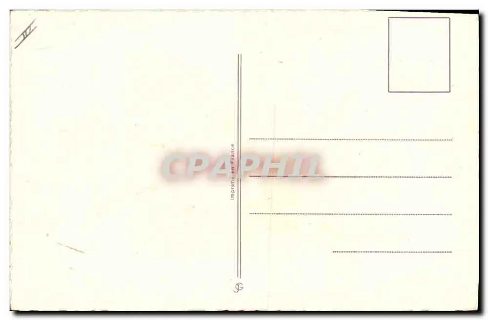 Flores de violetas y mimosa — dibujo firmado por E. Main - Reverso