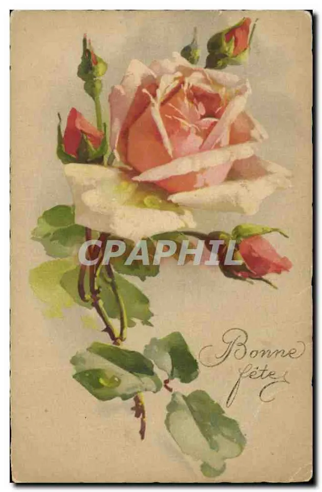 Rosas — carta de vœux — editor desconhecido, n° 1305 - Frente