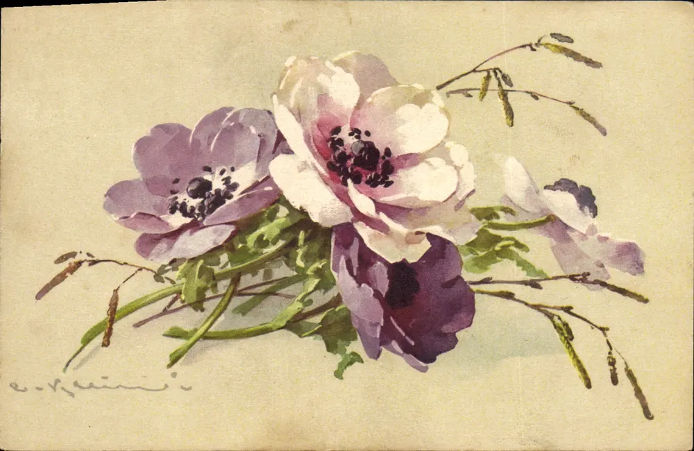 Anémonas — aquarela — E. Kainin — n° 1345 - Frente