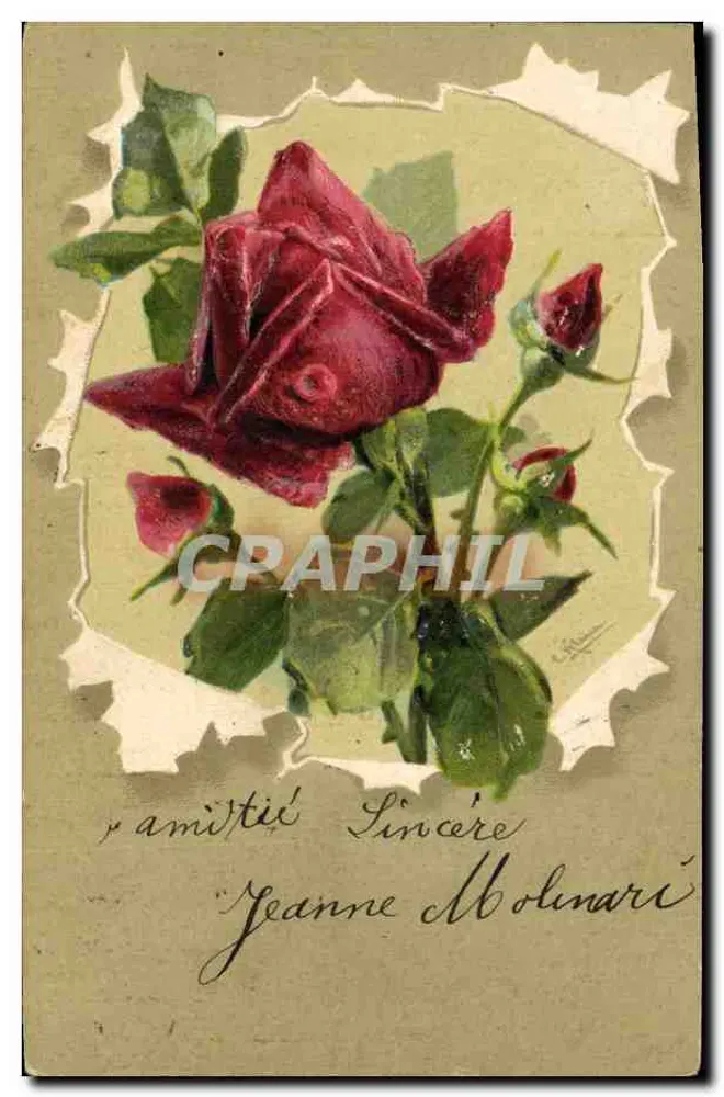 Rosas vermelhas — detalhes florais — Jeanne Molinari - Frente