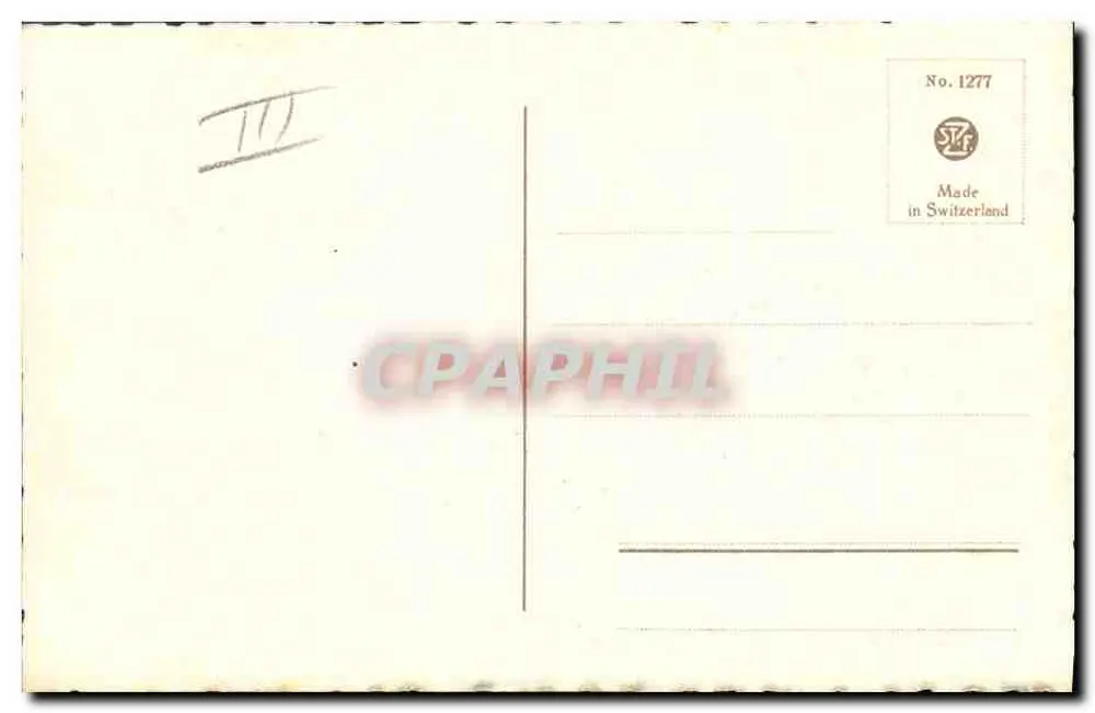 Roter Papagei — Tiermotiv — Verlag S.T.F., Nr. 1277 - Rückseite