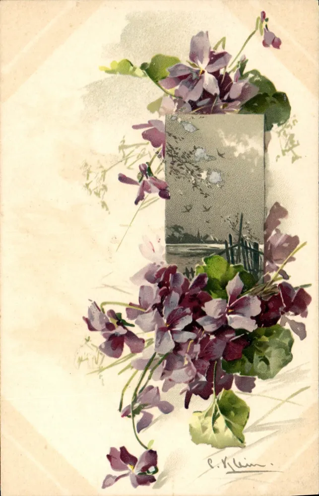 Violetas — ilustración firmada por P. Klein — editor no visible - Anverso