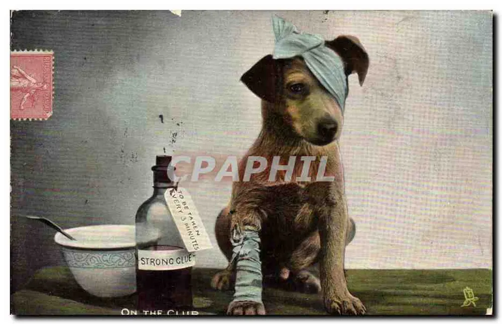 Perro herido — con vendaje y botella de pegamento — editor Tuck & Sons, serie V. ENGLAND - Anverso
