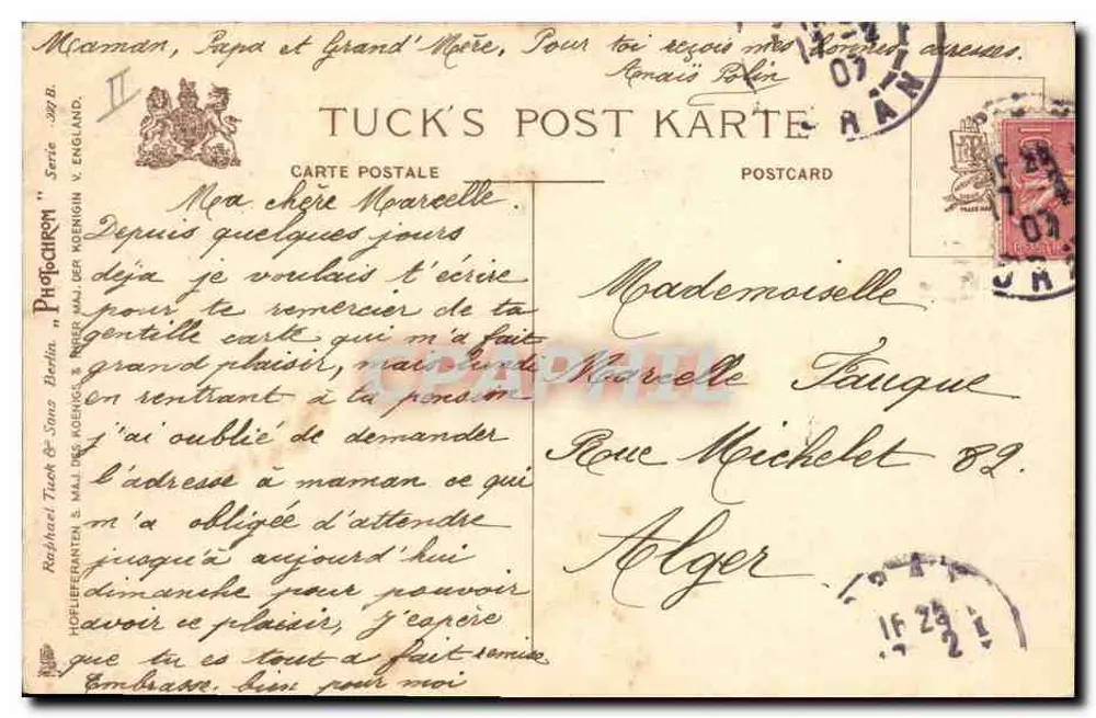 Perro herido — con vendaje y botella de pegamento — editor Tuck & Sons, serie V. ENGLAND - Reverso