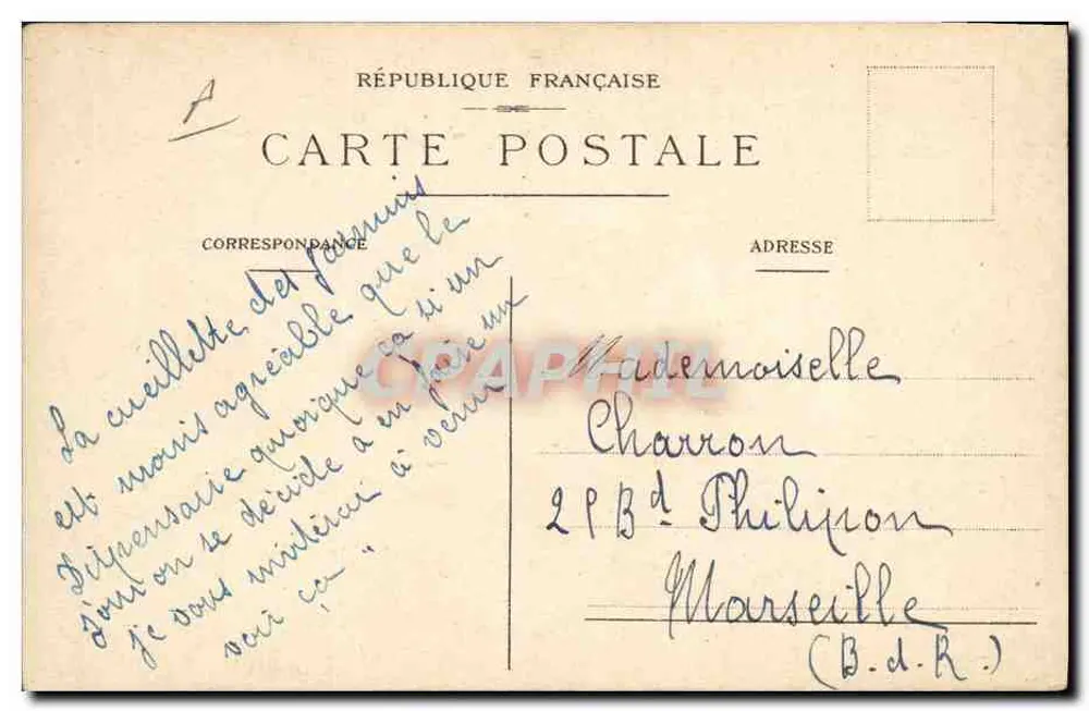 Jasminblütenpflücken — Parfumerie Bruno Court, Grasse - Rückseite