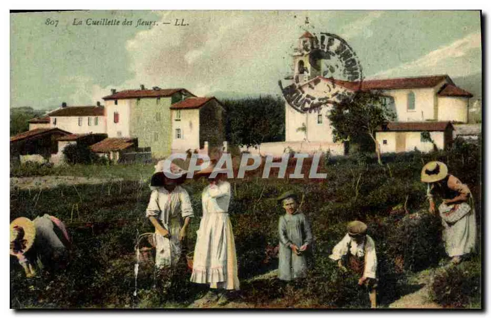 La Cueillette des fleurs — scène de campagne avec édifice religieux — LL. n° 807 - Frente