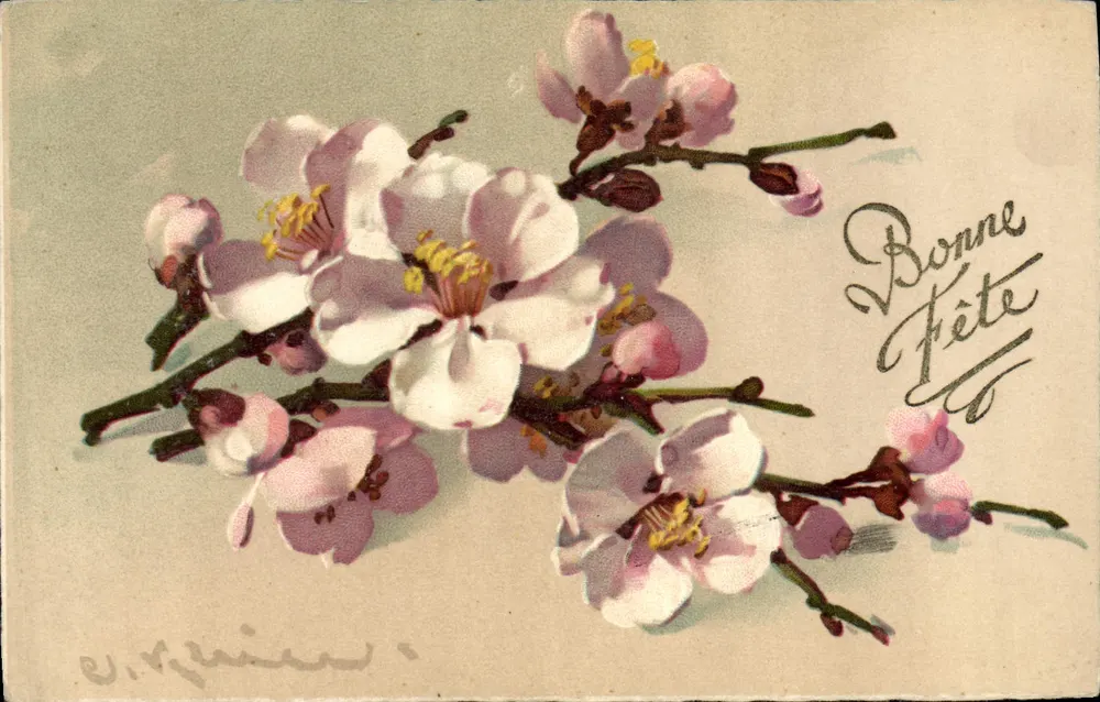 Flores de ameixeira — Boa Festa — E. Régnier - Frente