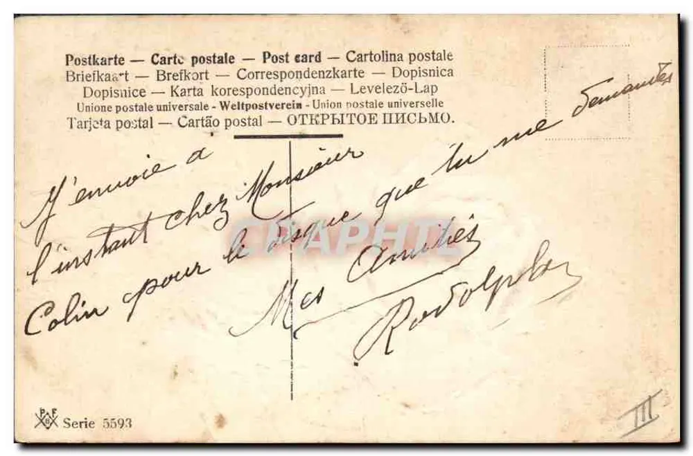 Rosa branca — desenho em aquarela — C. Klein — PAF Série 5593 - Verso