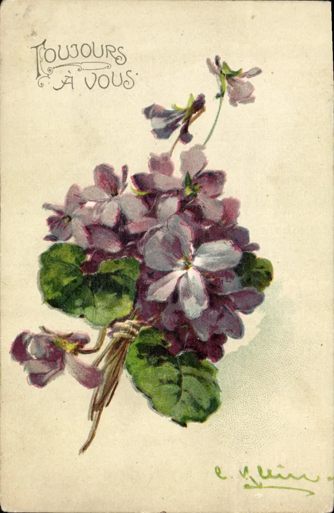 Mata de violetas — E. Klein — Gruppe 6 - Frente