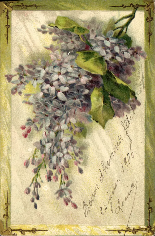 Lilás — flores — Carte postale n°122 - Frente