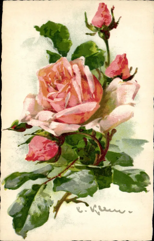 Rosada — ilustração de rosas — E. Klein - Frente