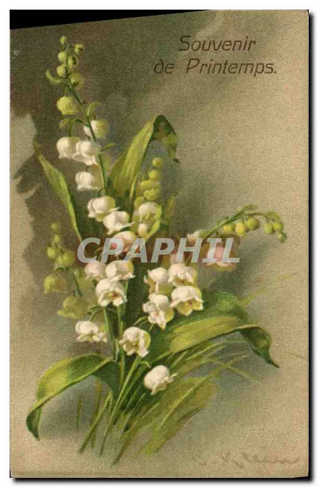 Lilás em flor — Lembrança de Primavera — Imago, No. 815 - Frente