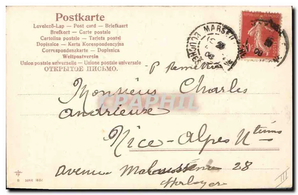 Fiołki - bukiet - wydawca B, seria 1882 - Rewers