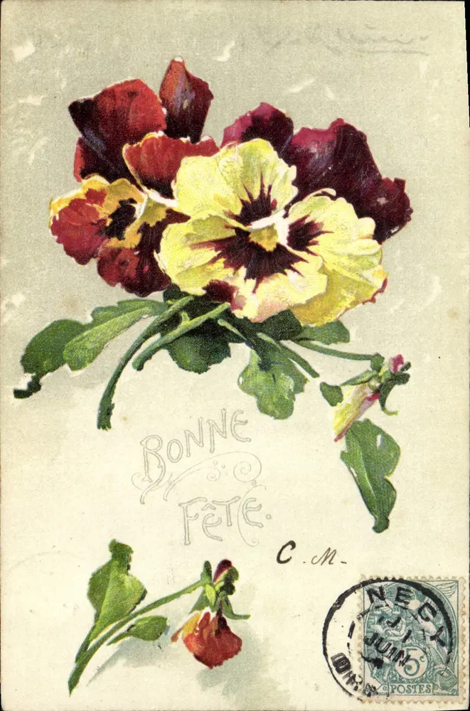 Pansies coloridas — Boa Festa — C.M. — editor C.M. n° 10 - Frente