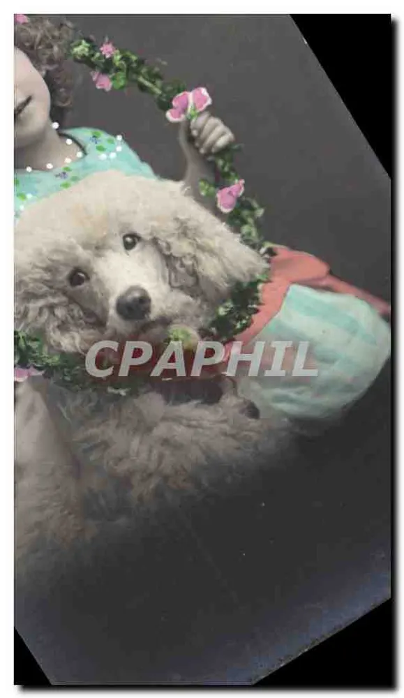 Meisje en poodle-hond — bloemmotief — onbekende uitgever - Voorkant