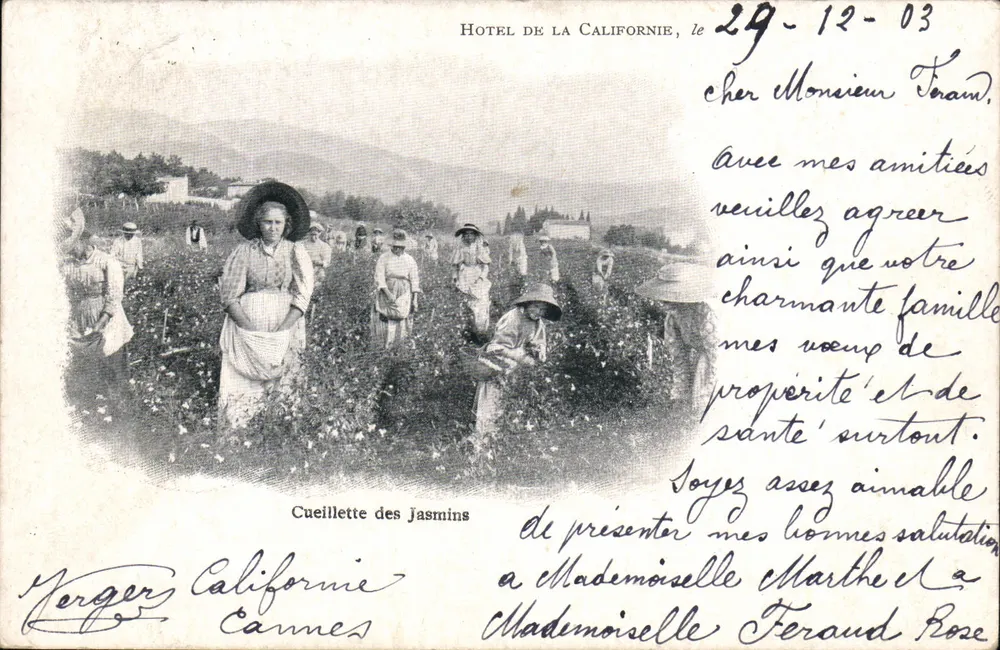 Jasminenpflücken — Hotel de la Californie, Cannes — Verlag Merger, Seriennummer nicht sichtbar - Vorderseite