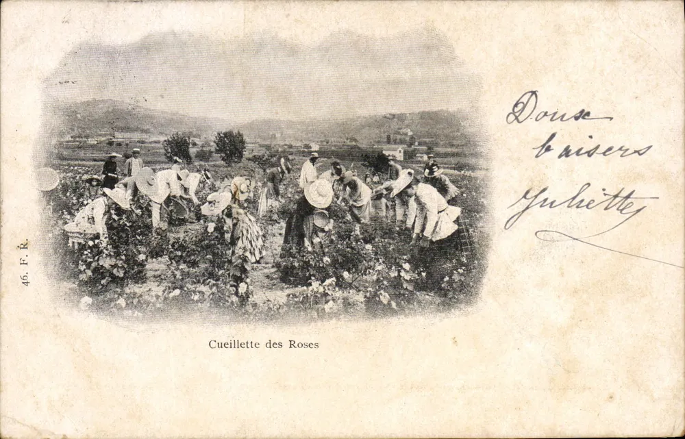Colheita de Rosas — cena de colheita de rosas — editor F. R. n° 46 - Frente