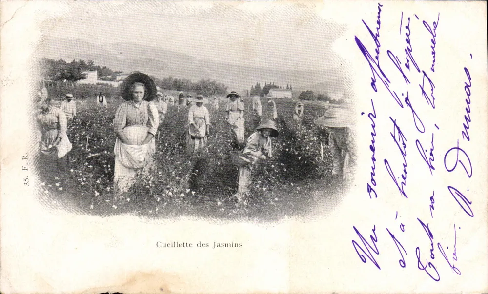 Colheita dos Jasmins — 35. F. R. — editor F. R. - Frente
