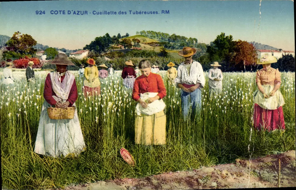 Côte d'Azur — Cueillette des Tubéreuses — Édition Rostan & Bürnier, Nice - Vorderseite