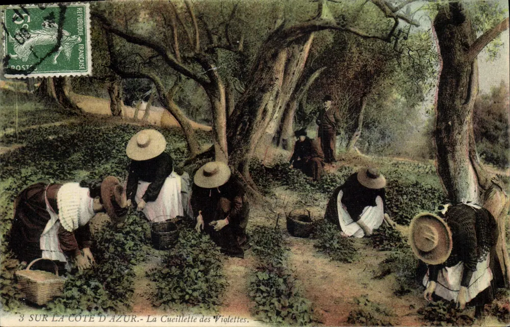 A Costa Azul — A Colheita das Violetas — Editor não identificado, n°3 - Frente