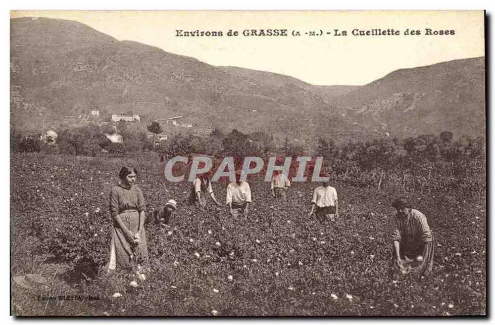 Em torno de GRASSE (A.-M.) - A Colheita das Rosas — Editor BERTA - n°23 - Frente