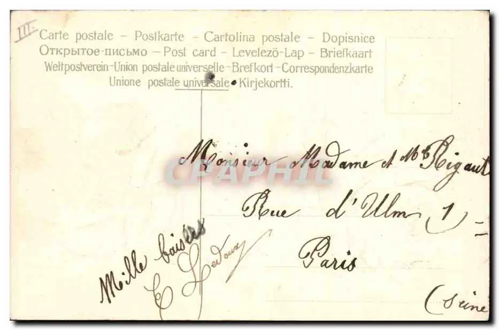 Rosa vermelha — Boa Ano Novo — Walter Pernamente, Série 1 - Verso