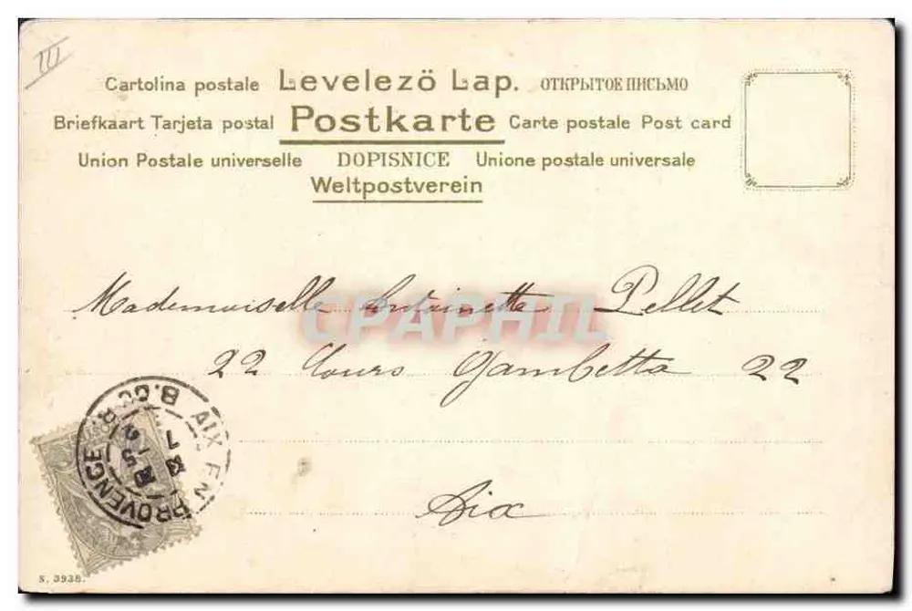 Arranjo de margaridas e crisântemos — S. Klein — editor não visível - Verso