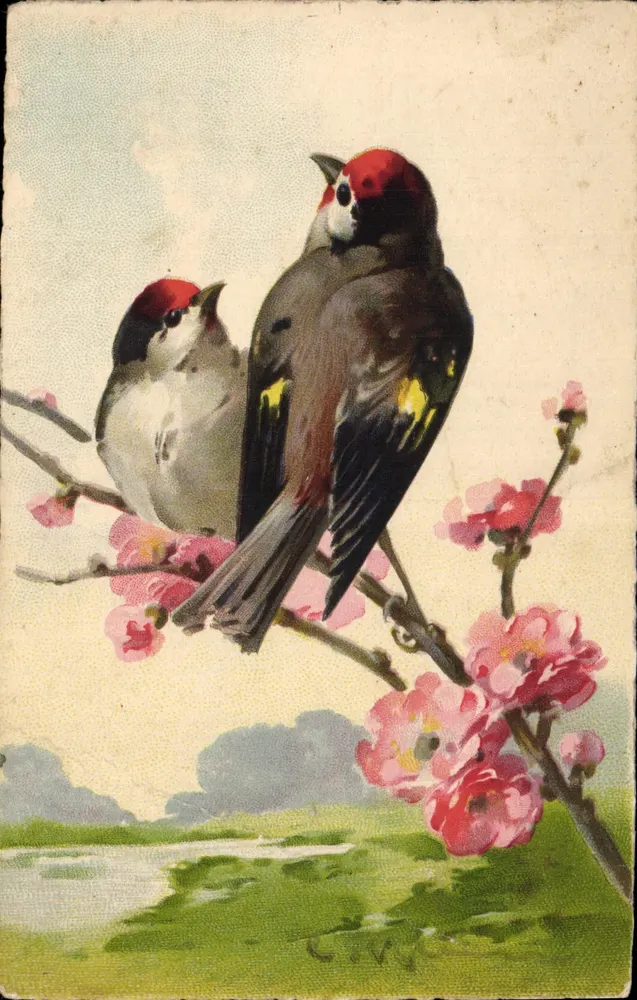Dois pássaros sobre galho florido — ilustração — Jourdan, n° não visível - Frente