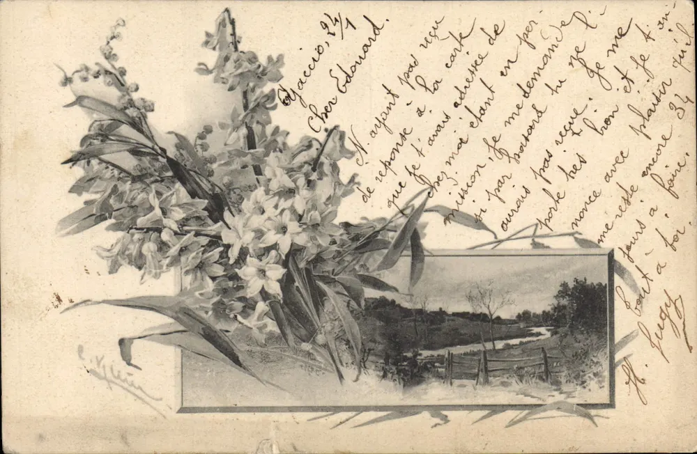 Bouquet d'orchidées — vue de paysage — éditeur E. Yllier - Voorkant