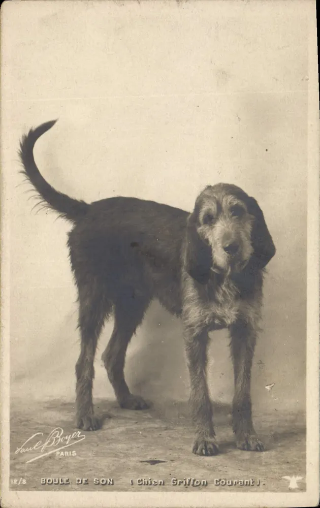 Ball of Sound — Griffon Courant Hund — Paul Bayer, Paris, n° 12/8 - Vorderseite