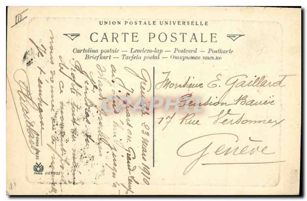 Cachorra manchada da Dalmácia — D'après nature — Paris - Verso