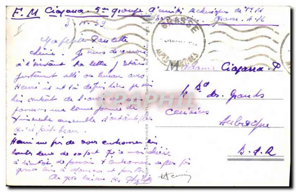 Côte d'Azur — Zbieranie mimozy — Wydawnictwo Munier, nr 104 - Rewers