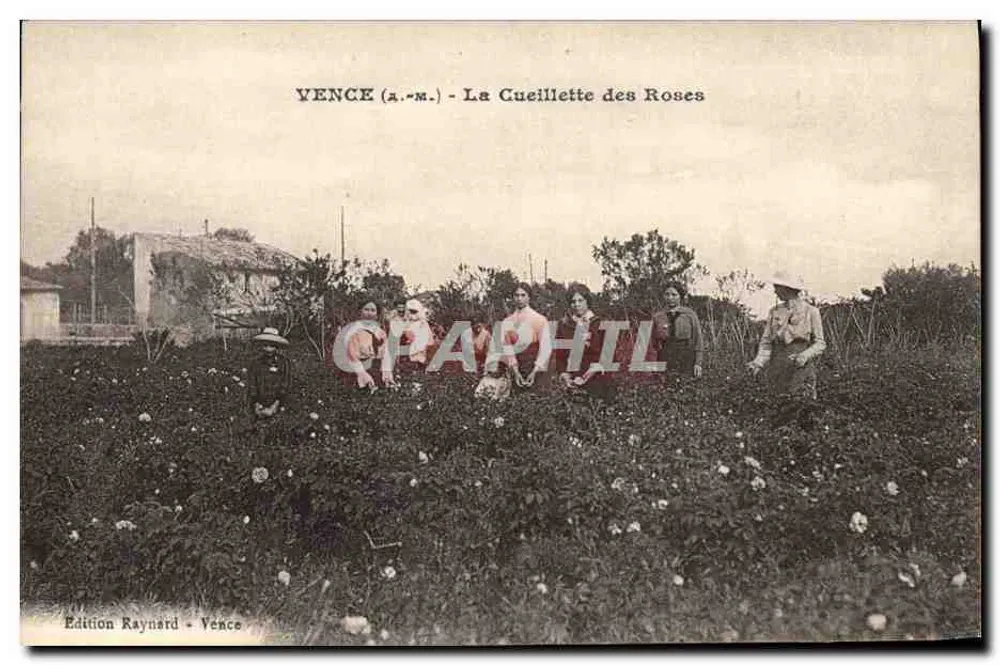 VENCE (a.m.) - A Colheita das Rosas — Edição Raynard - Vence - Frente