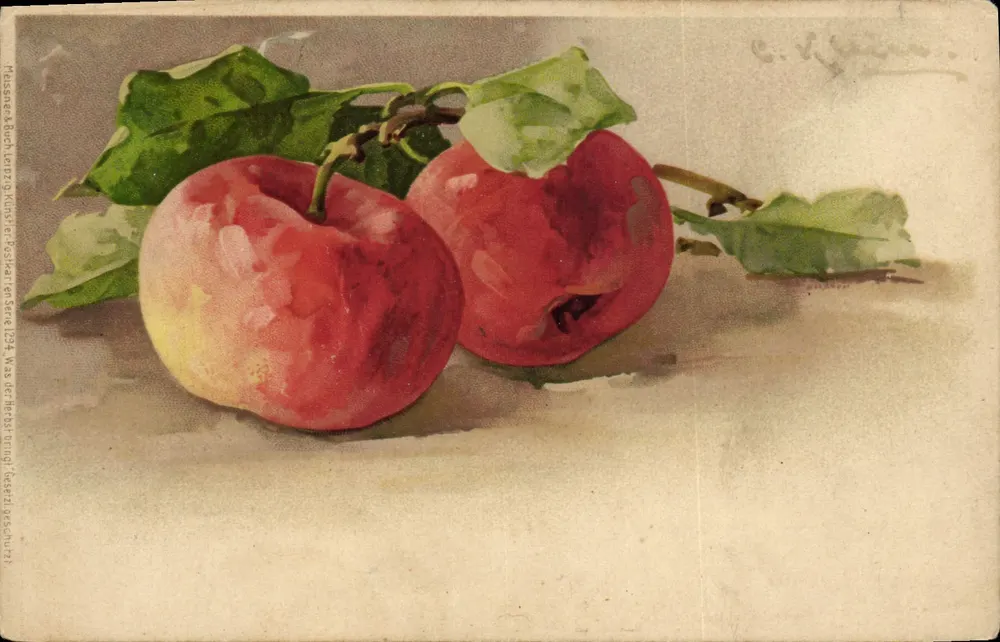 Zwei Pfirsiche — Aquarell-Illustration — Verlag Nussener & Buch, Leipzig, Serie 1294 - Vorderseite