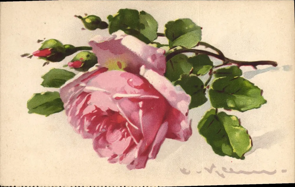 Rose — Farbige Zeichnung — E. Vicaire - Vorderseite