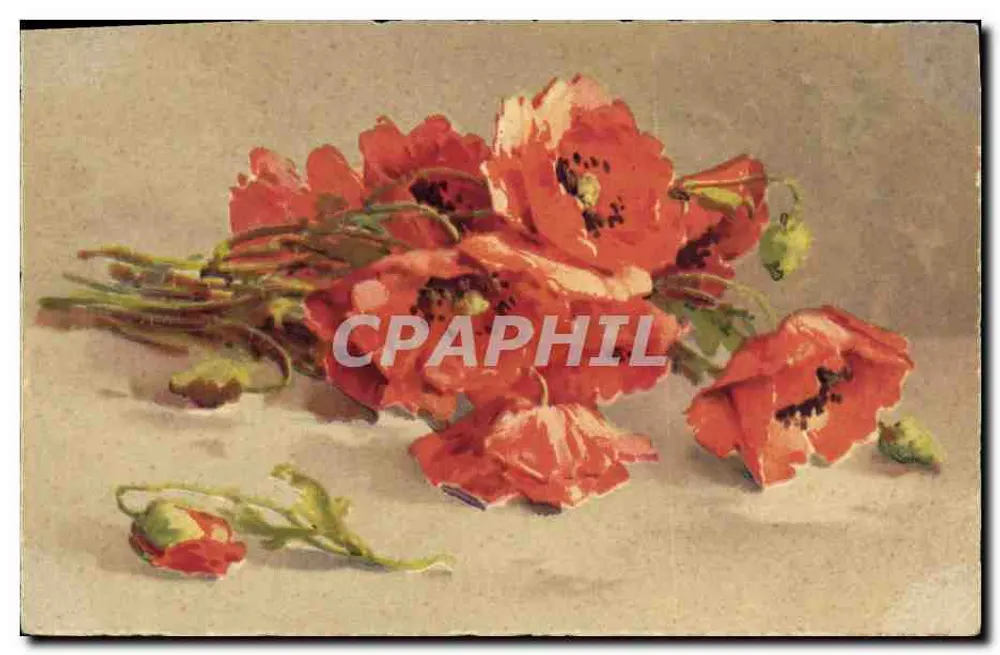 Mohnblumenstrauß — Illustration — unbekannter Verlag, Nr. 1531 - Vorderseite