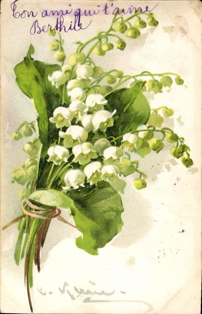 Büschel von Mädesüß — Verlag E. Raim — Nummer 12650 - Vorderseite