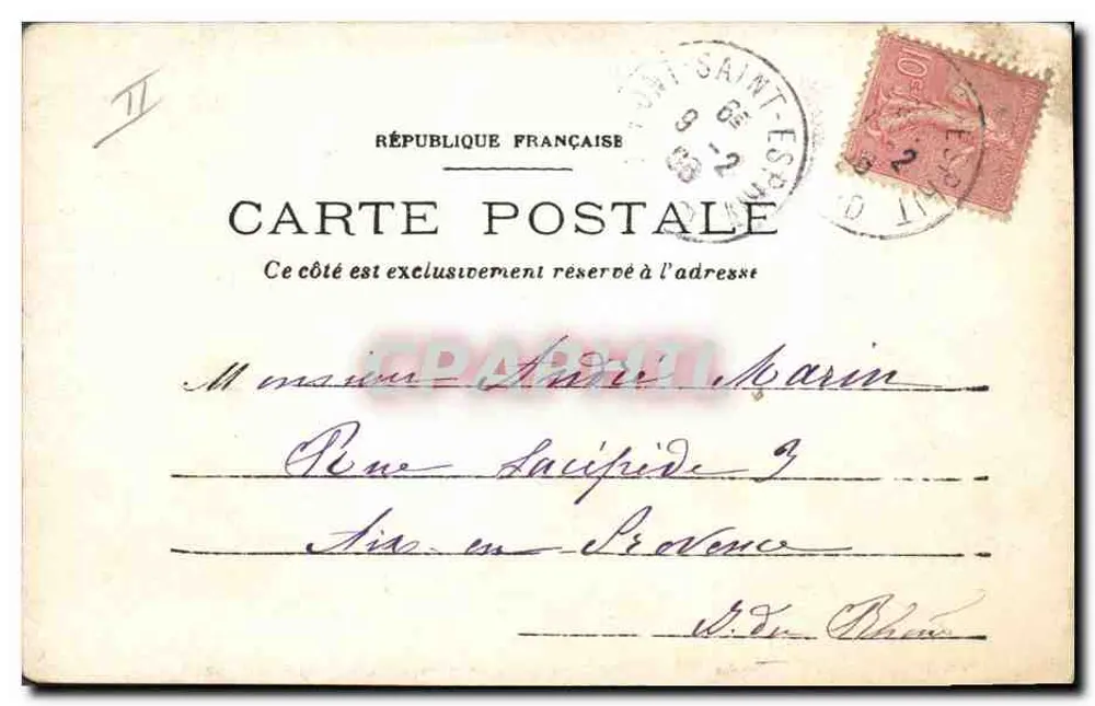 Cachorro sobre almofada — cartão postal francês datado de 7 de fevereiro de 1906 — editor não visível - Verso