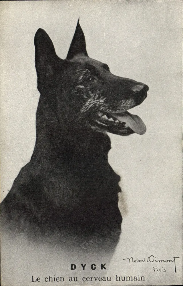 Dyck — Der Hund mit dem menschlichen Gehirn — Robert Dimont, Paris - Vorderseite